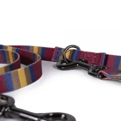 Pendleton Zion National Park Adventure Dog Leash