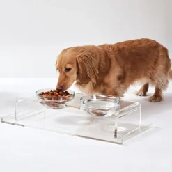 Pet Feeder with Glass Bowls, Acrylic Stand & Tray