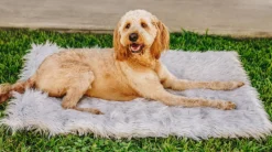 Portable Orthopedic Travel Bed For Dogs