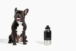 PupPak Dog Travel Water Bottle with Detachable Food & Water Bowls