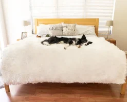 PupProtector Waterproof Dog Blanket - Options