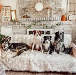 PupProtector Waterproof Dog Blanket - Options