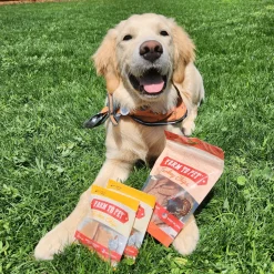 Puppy Packs 'N Snacks Dog Treat Starter