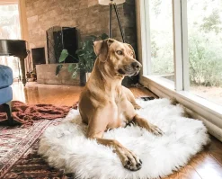 PupRug Faux Fur Orthopedic Dog Bed For Large To XL Dogs