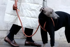 Ray Dog Harness by Boo Oh Elegant Grey