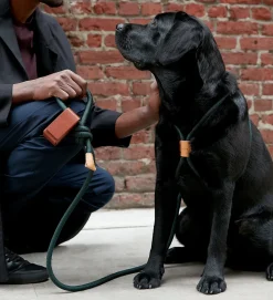 Ray Large Dog Harness by Boo Oh Green