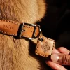 Ray Luxury Collar And Leash Set