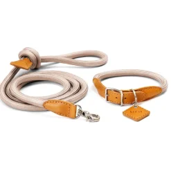 Ray Luxury Collar And Leash Set