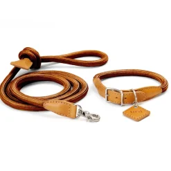 Ray Luxury Collar And Leash Set