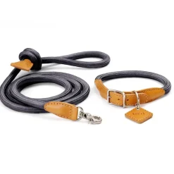 Ray Luxury Collar And Leash Set