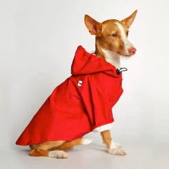 Sarah Waterproof Dog Rain Jacket - Red