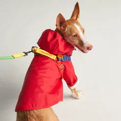 Sarah Waterproof Dog Rain Jacket - Red