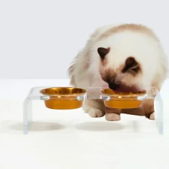 Small Clear Double Pet Feeder with Gold Bowls & Tray