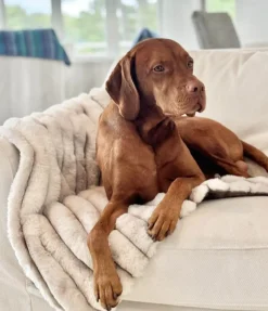Soft Pet Blanket Topper Himalayan