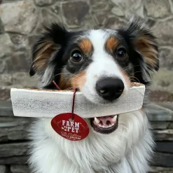 Split Elk Antlers for Dogs
