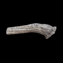 Split Elk Antlers for Dogs