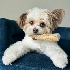 Split Elk Antlers for Dogs