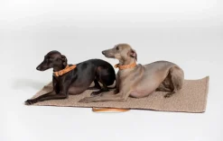 Steve Casentino Dog Travel Mat