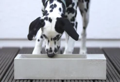 Trogolo Concrete Dog Trough For Outdoors & Garden
