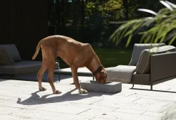 Trogolo Concrete Dog Trough For Outdoors & Garden