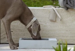 Trogolo Concrete Dog Trough For Outdoors & Garden