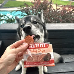 Turkey Chip Snack Pack Bundles