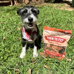 Turkey Chips for Dogs