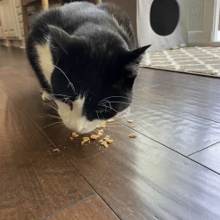 Turkey Crumbles for Cats