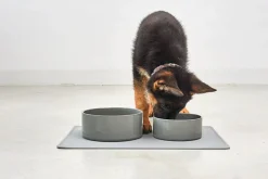 Two Scodella High Quality Porcelain Dog Bowls For Large Size Dogs