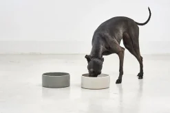 Two Scodella High Quality Porcelain Dog Bowls For Large Size Dogs