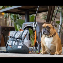 Urban 3 | Dual Use Dog Carrier & Traditional Backpack