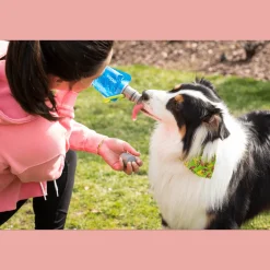 Vapur EZ Lick Portable Dog Water Bottle