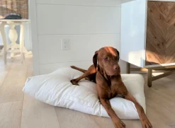 Washed white cotton linen dog cushion for large dogs