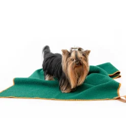 Water-resistant Casentino Wool Dog Blanket