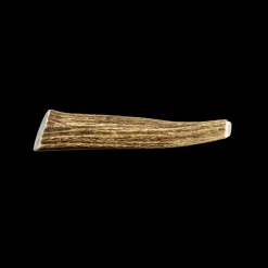 Whole Elk Antlers for Dogs
