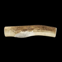 Whole Elk Antlers for Dogs