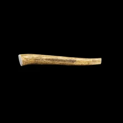 Whole Elk Antlers for Dogs
