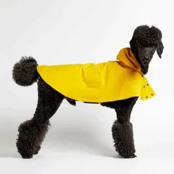 William Waterproof Dog Cape