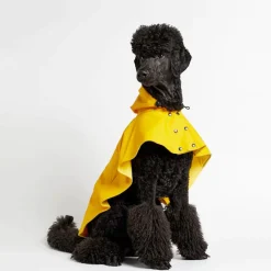 William Waterproof Dog Cape