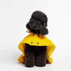 William Waterproof Dog Cape