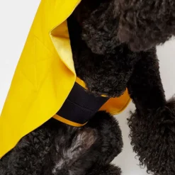 William Waterproof Dog Cape