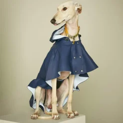William Waterproof Dog Cape