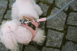 Yeti Dog Harness & Leash - ROSE