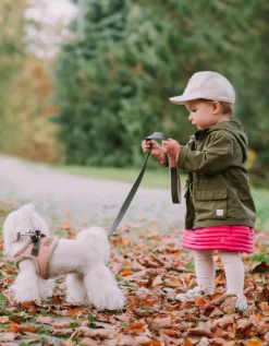 Yeti Dog Harness & Leash - ROSE